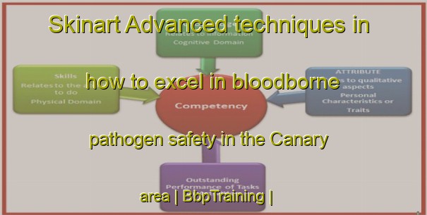 Skinart Advanced techniques in how to excel in bloodborne pathogen safety in the Canary area | BbpTraining | BbpClasses | SkinartTraining-United States